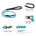 Walking Training Leash Comfortable Shock Reflective Bungee